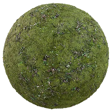 mossy ground 004 — Descargar
