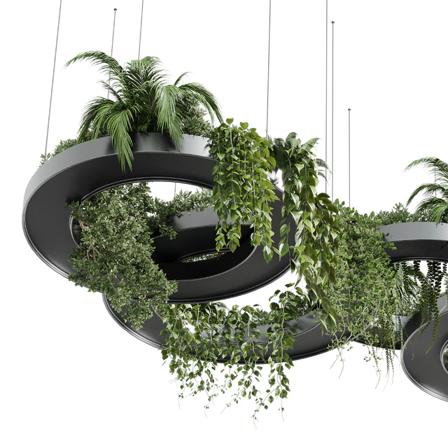 Hanging Plants - Indoor plants 309 — Скачать