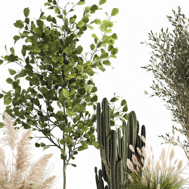 Collection of plants in white baskets with pampas grass, tree, olive, cactus, Cereus, hazel, hazel. Set 1035. — Descargar
