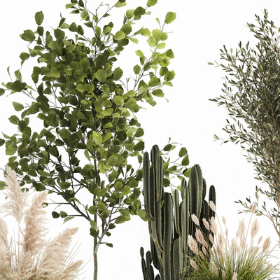 Collection of plants in white baskets with pampas grass, tree, olive, cactus, Cereus, hazel, hazel. Set 1035. — Ver 7