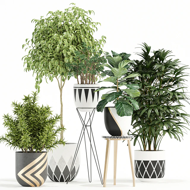 Plants collection 112 — Скачать