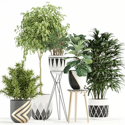 Plants collection 112 — Вид 1