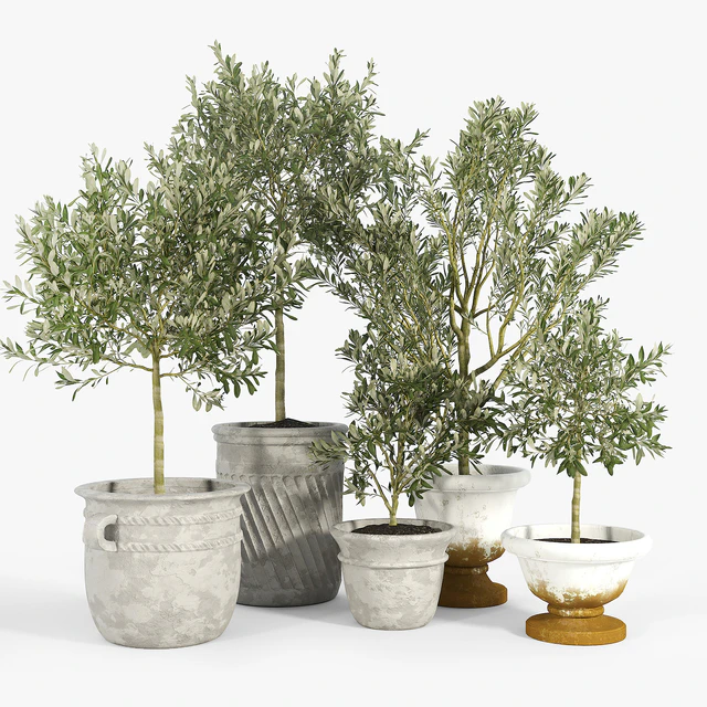 Eclectic Villa Planters — Descargar