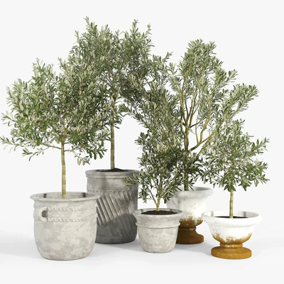 Eclectic Villa Planters — Ver 1