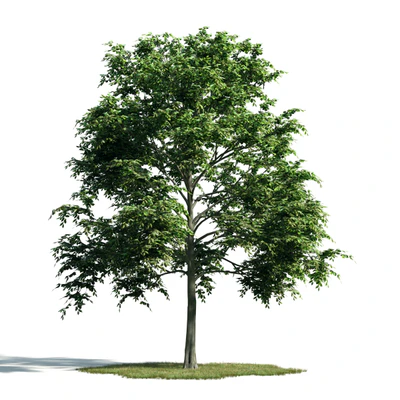 011 — Скачать