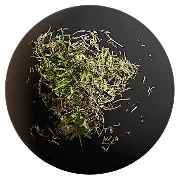 buffalo grass 006 — download