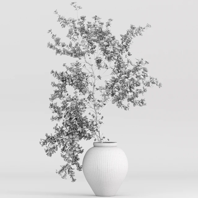 Plants with tiny flowers in pots — Descargar