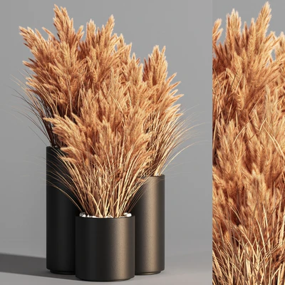 Indoor Plant Set 48 (pampas) — Ver 1