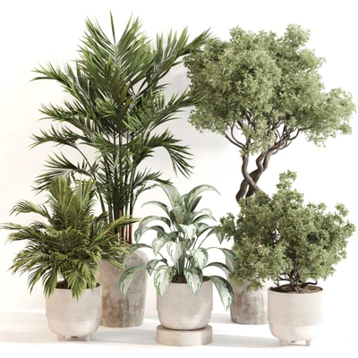 Indoor Plant Set 0123 — Ver 1