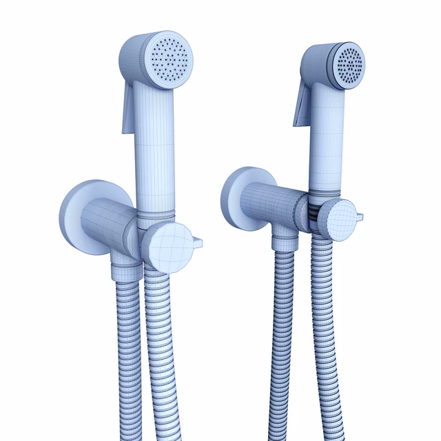 Sanitary shower Bossini Paloma — Descargar