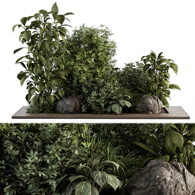 Garden Set Tropical Plants - Outdoor Plants Set 381 — Вид 1