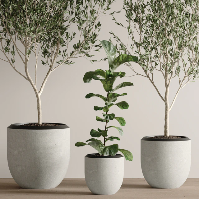 indoor plant set 43 — Descargar