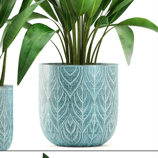 Strelitzia in a pot. Bush, flowerpot, pot, Scandinavian, banana, indoor, interior plants — Descargar