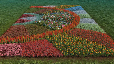 iflowers vol 003 — Descargar
