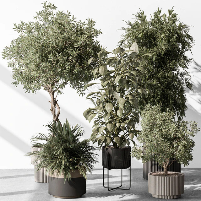 Indoor Plant 531 -Tree in Pot — Descargar