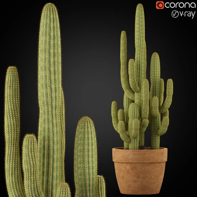 Plants collection 254 — Ver 1