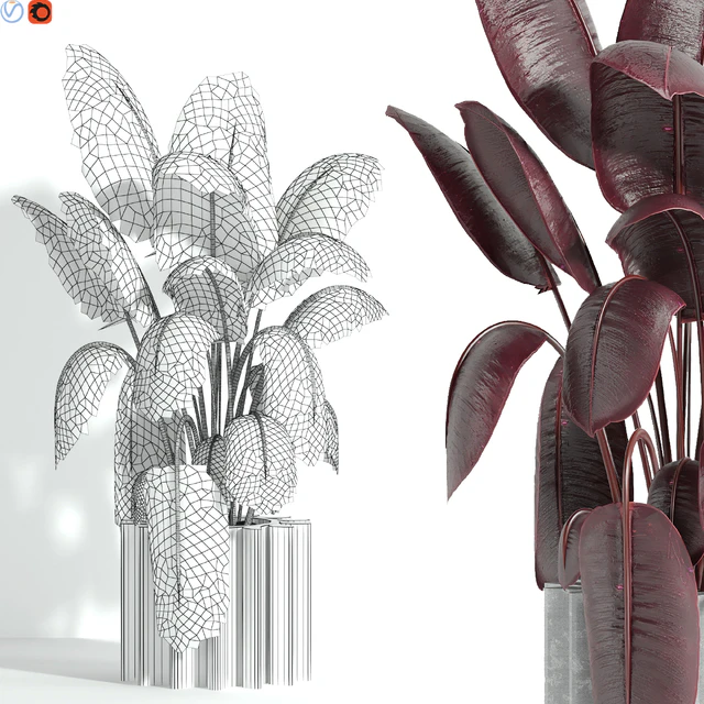 Indoor plant 65 — Descargar