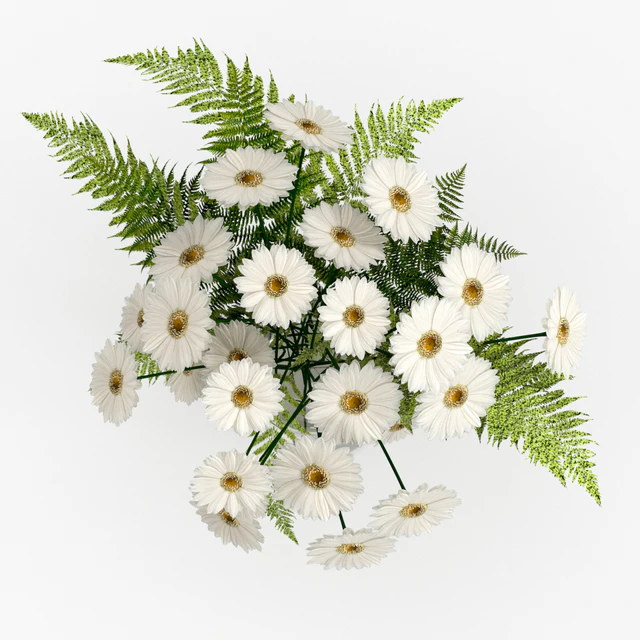 Bouquet with camomiles. — Descargar