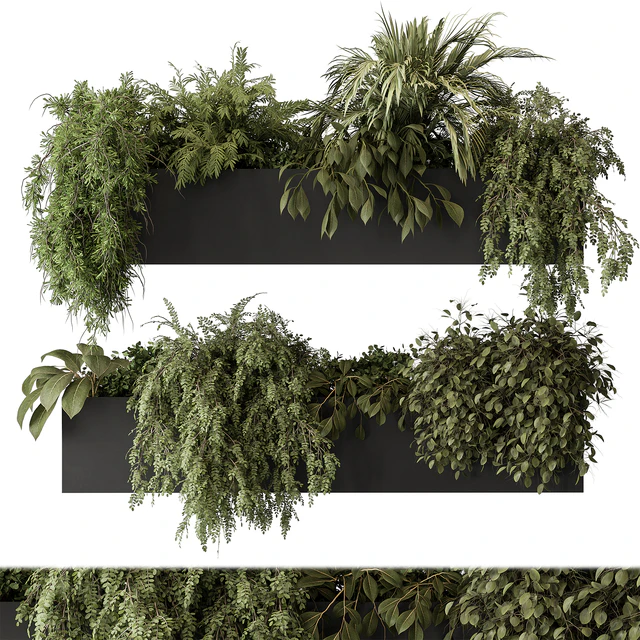 indoor Plant Set 297 - Hanging Plants — Descargar