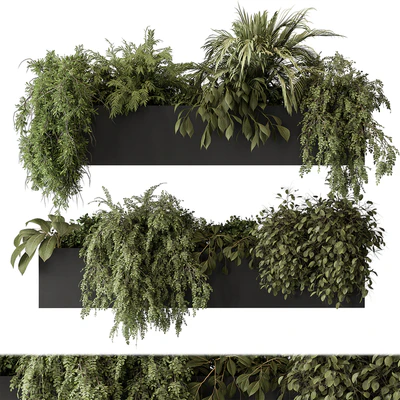 indoor Plant Set 297 - Hanging Plants — Ver 1
