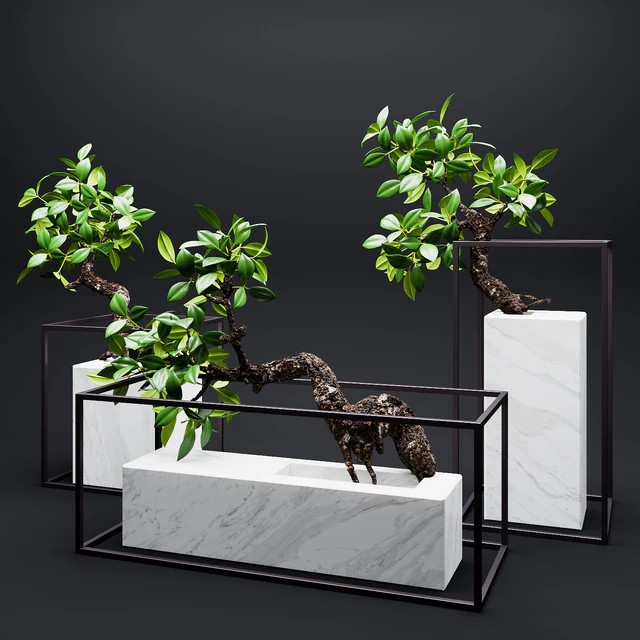 Set of mangrove branches in a vases — Скачать