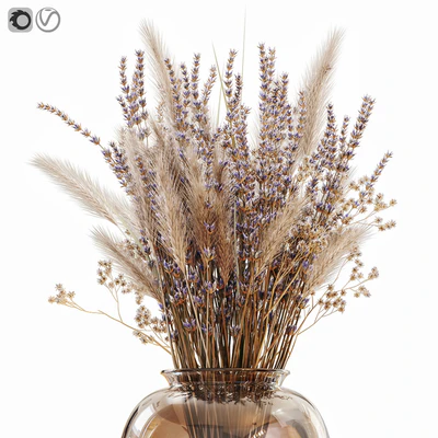 Dry flowers in modern vase 4 — Ver 4
