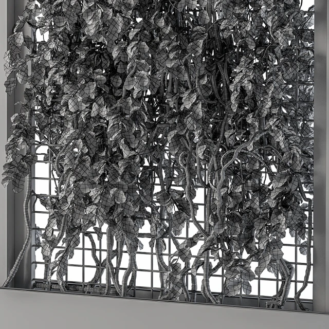 ivy Box Plants Gray — Descargar