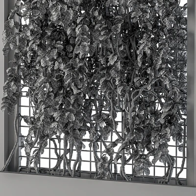 ivy Box Plants Gray — Ver 4