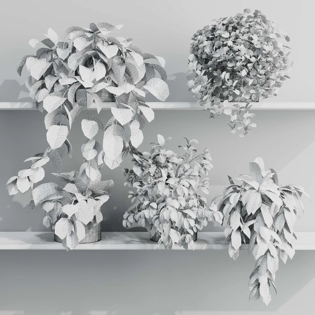 wall plant - set Indoor plant 408 plants on shelf in handmade wooden basket — Descargar