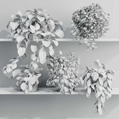 wall plant - set Indoor plant 408 plants on shelf in handmade wooden basket — Ver 3