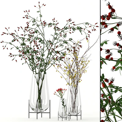 Twigs in Echasse Vases — Вид 1