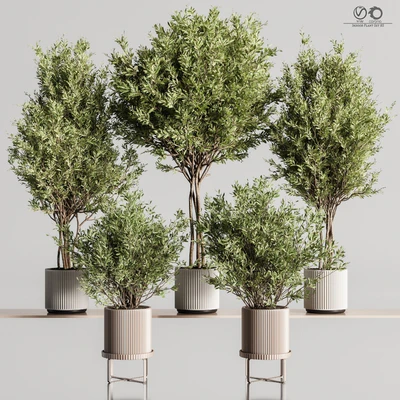 Indoor Plant Set 85 — Ver 1