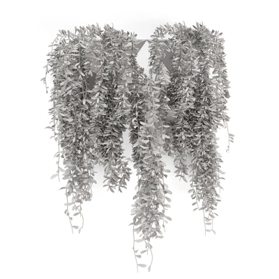 Indoor Hanging Plants in Concrete Pot - Set 130 — Ver 4