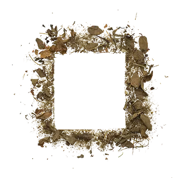 debris 020 — Descargar