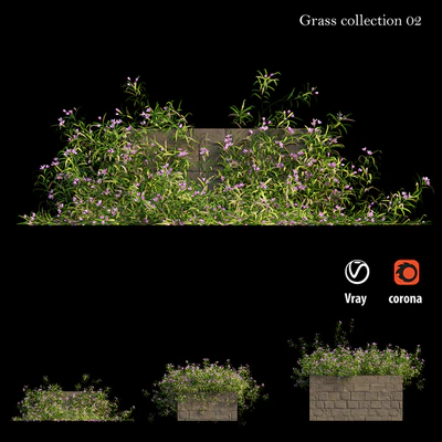 Grass collection 02 — Вид 5