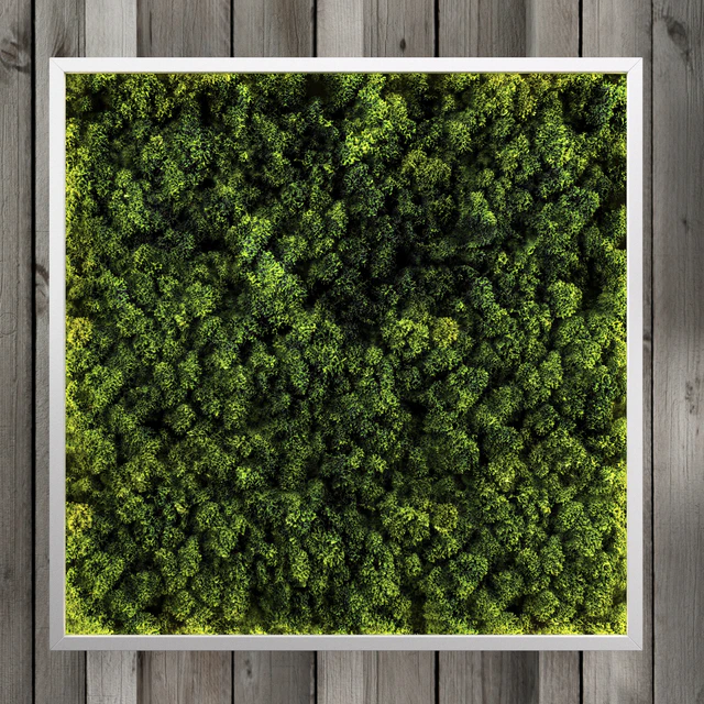 Moss modules — Descargar