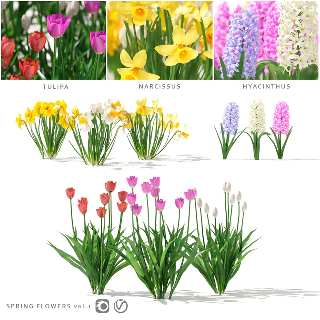Collection of spring flowers | Spring flowers vol. 1 — Descargar
