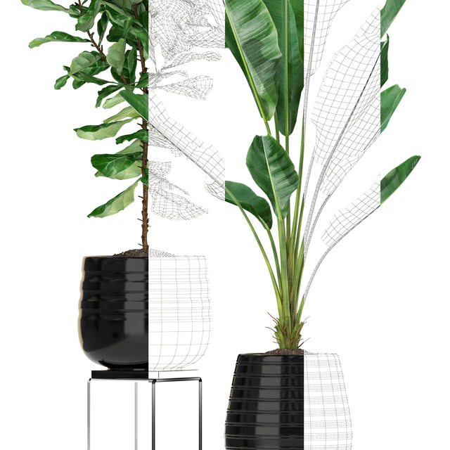 Plants collection 180 — Скачать