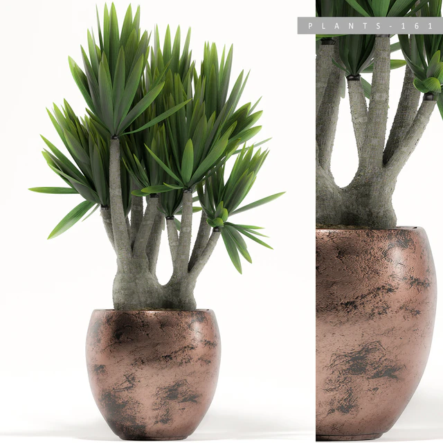 PLANTS 161 — Descargar
