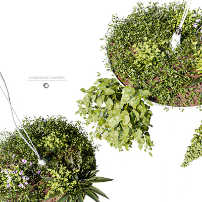 Chandelier plant pot — Вид 4
