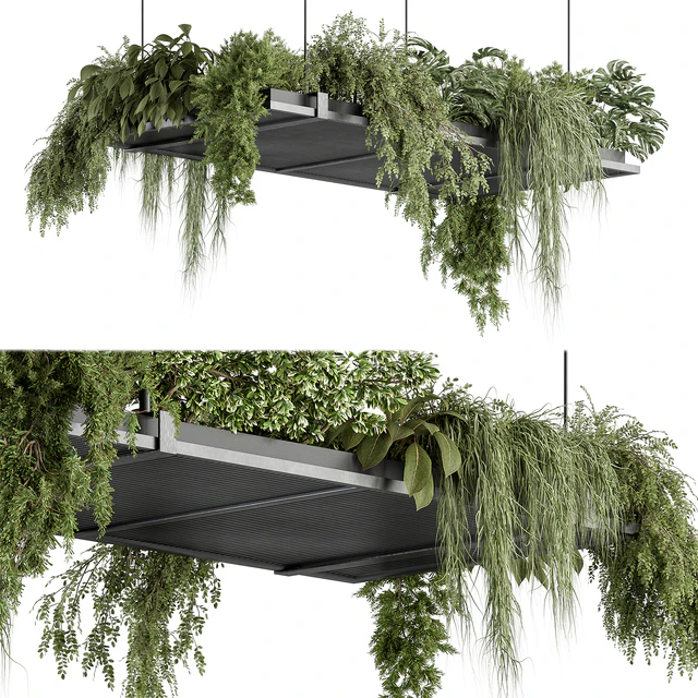indoor Plant 443 - Hanging Plants — Descargar