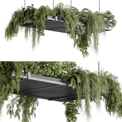 indoor Plant 443 - Hanging Plants — Ver 4