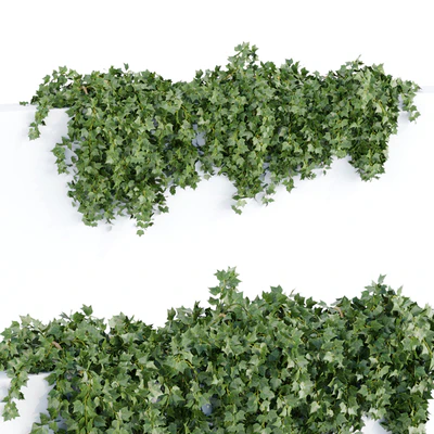 Hanging wall plants collection vol 64 — Вид 5