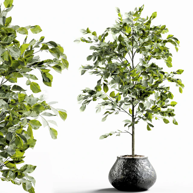 Branches in vases 28 — Descargar
