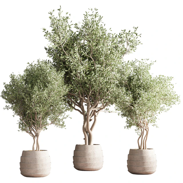 indoor plant stand 39 — Descargar
