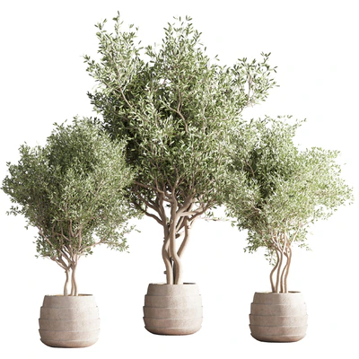 indoor plant stand 39 — Ver 1