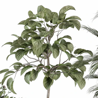 indoor Plant Set 257 - Plant Set in pot — Ver 6