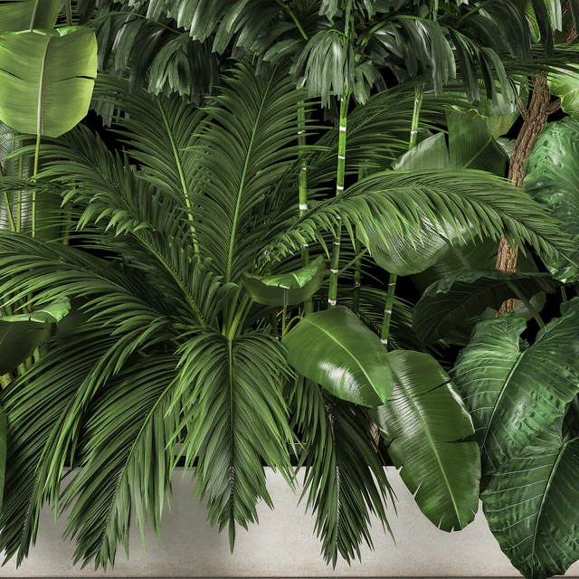 A collection of plants for a home garden with thickets and bushes, palm, strelitzia, flowerbed, flowerpot, ficus lirata. 1114. — Descargar