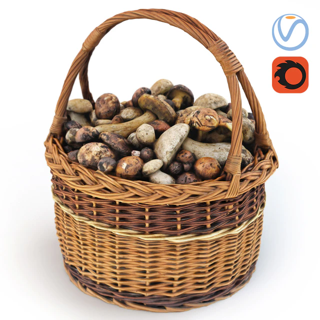Mushrooms in a basket — Descargar
