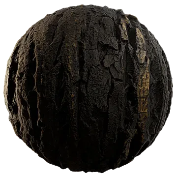 tree bark 008 — Descargar
